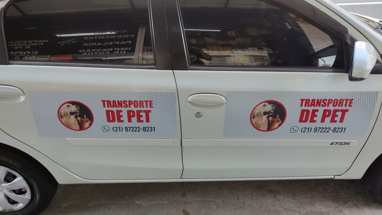 Taxi Dog RJ, Transporte Pet RJ, Transporte de Animais Rio de Janeiro