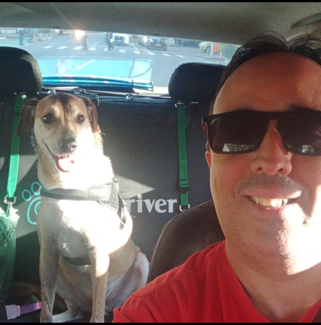 Transporte Pet Tijuca RJ