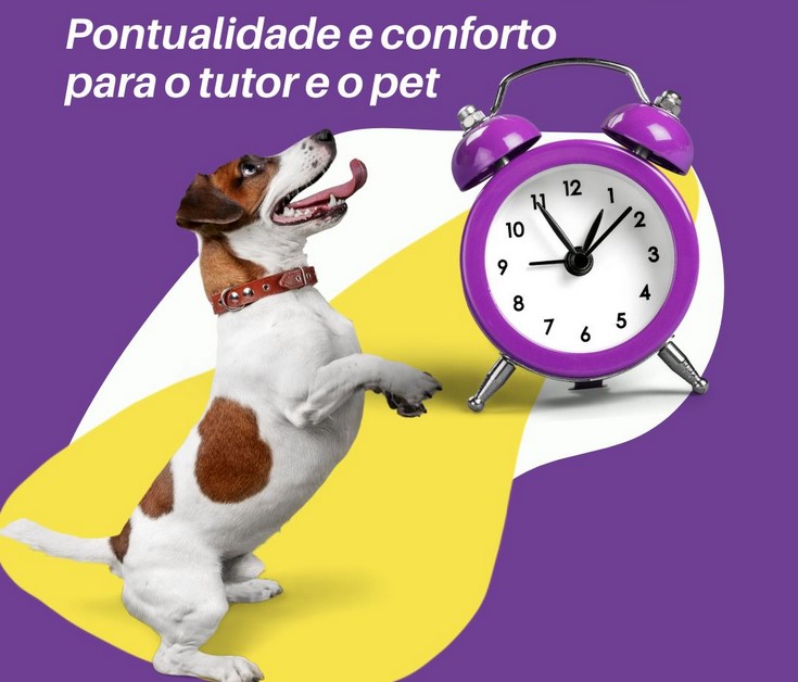 pontualidade taxi pet